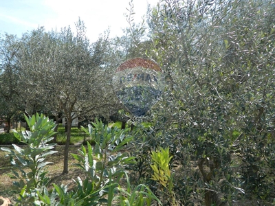 Terreno edificabile in vendita a Empoli