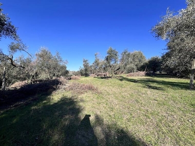 Terreno edificabile in vendita a Fonte Nuova, Via Lago di Bolsena, SNC - Fonte Nuova, RM