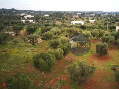 Terreno agricolo in Vendita in Via dei Longobardi a Polignano a Mare