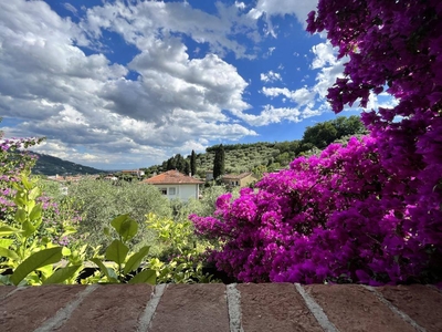 Villa con giardino a Pietrasanta