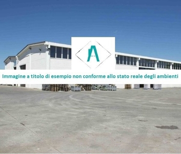 Capannone / Fondo - Magazzino a San Pietro Del Gallo, Cuneo