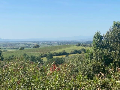 Rustico casale in ottime condizioni a Magliano in Toscana