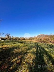 TER. AGRICOLO A GUIDONIA MONTECELIO