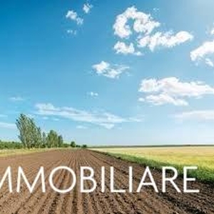 Terreno agricolo in buono stato di 5440 mq. a San Martino A Ulmiano