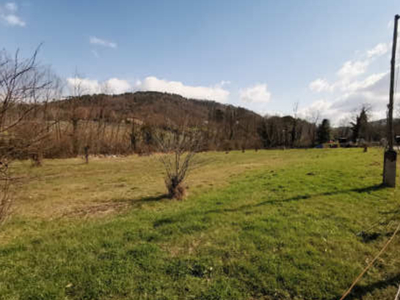 terreno agricolo in vendita a Vicchio