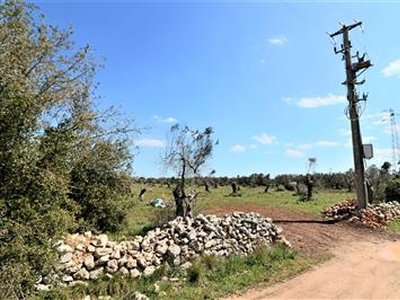 Terreno in Vendita a Ruffano