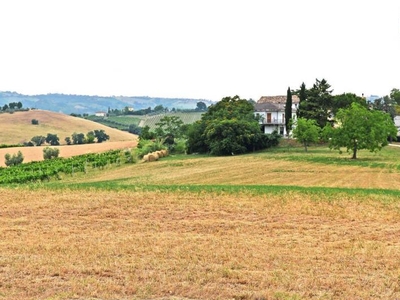 terreno residenziale in vendita a Offida