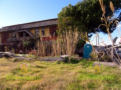 Vendita Terreno Agricolo in CARRARA