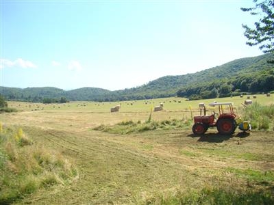 Agricolo - Seminativo a Rocca di Papa