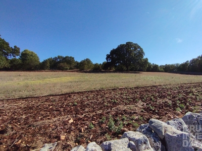 Locorotondo - Terreno Agricolo XT021