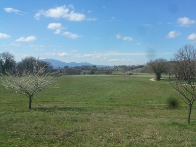 Terreno Agricolo in vendita in via san francesco, Lugnano in Teverina