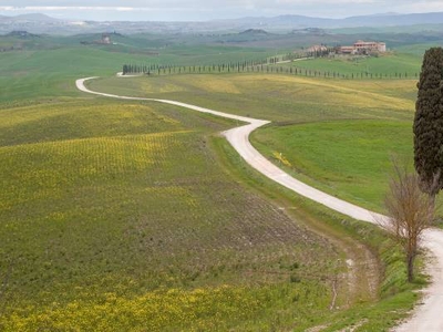 Azienda Agricola in Vendita a Cetona