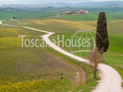 Bel casolare di campagna con terreno e piscina in vendita a Monte Castello di Vibio