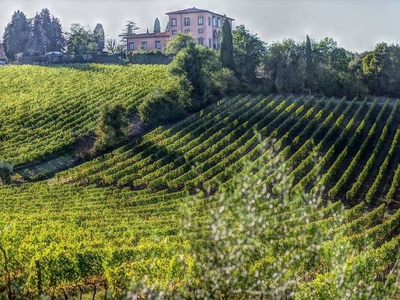 Cerreto Guidi: Azienda Agricola in Vendita con Vista Panoramica e Attività Ricreative