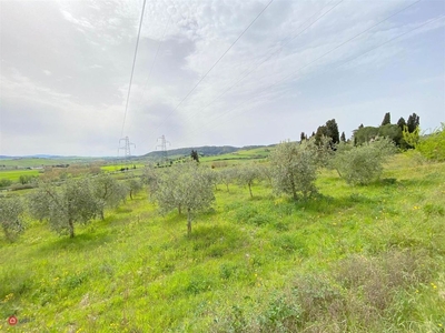 Terreno agricolo in Vendita in a Rosignano Marittimo