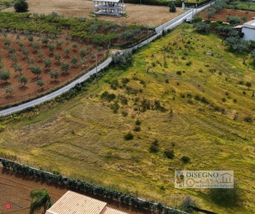 Terreno agricolo in Vendita in Contrada Principe di Mezzavilla a Partinico