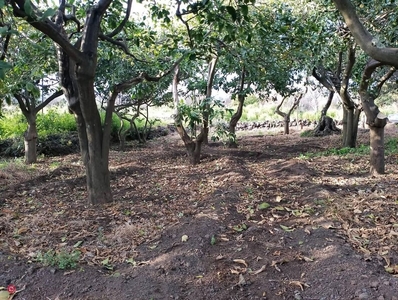 Terreno agricolo in Vendita in Via Carico a Acireale