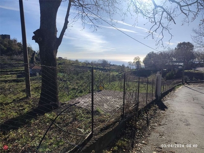 Terreno agricolo in Vendita in Via Carlino Dagalino a Zafferana Etnea