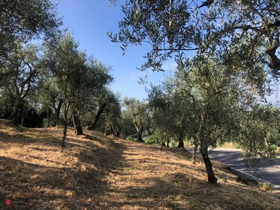 Terreno agricolo in Vendita in Via delle pille a Uzzano