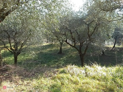 Terreno agricolo in Vendita in Via Roma a Castegnero
