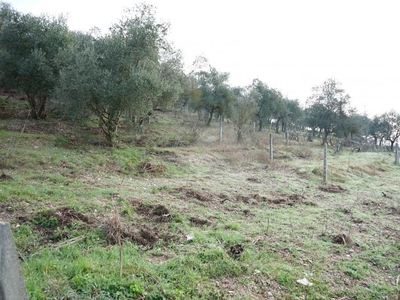 Terreno edificabile in vendita a Gubbio Semonte