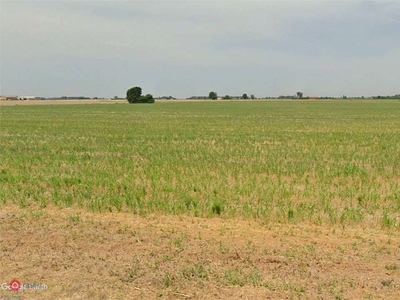 Terreno edificabile in Vendita in Via Prov. Inferiore 1 a Molinella