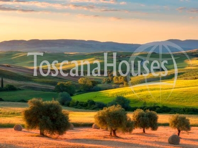 Tuscany Countryside - Beautiful Touristic Property with Pool for Sale