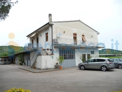 Appartamento Quadrilocale in vendita a Castiglione Della Pescaia