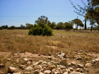 Casuzze - Terreno agricolo