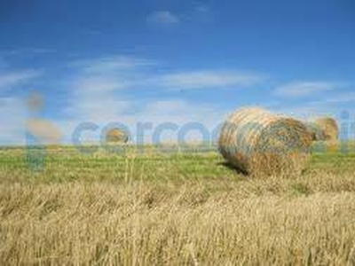 Terreno agricolo in vendita a Lendinara