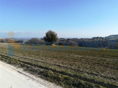 Terreno agricolo in vendita a Treia