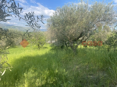 Terreno Edificabile in vendita a Minturno