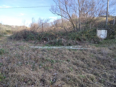 Terreno in vendita a Controguerra