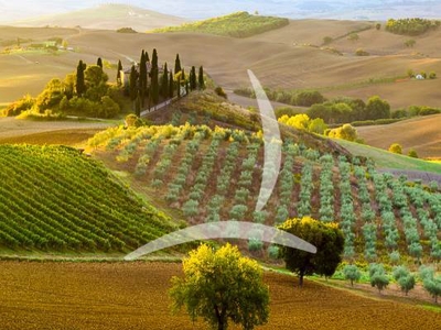 Villa Settecentesca con Cappella e Affreschi in Vendita a Monteriggioni, Siena