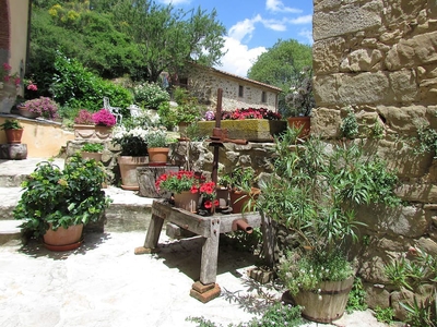 Tuscan Modern Historical Cottage in the Hills With own Swimming Pool