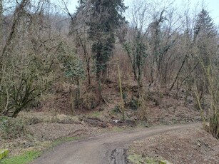 Altro in Vendita a Bosco Chiesanuova Lughezzano - Arzerè