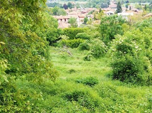 Altro in Vendita a Valgreghentino