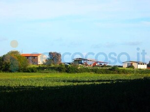 Azienda agricola in vendita a Gavorrano