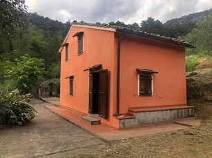 Casa singola in affitto a Calci