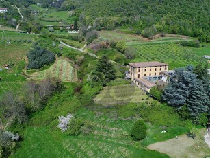 Monticelli Brusati palazzo con vigneto in vendita