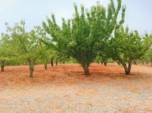 Rustico a Locorotondo