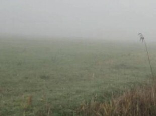 Terreno agricolo in Vendita a Adria