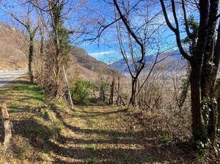 Terreno agricolo in Vendita a Rogno