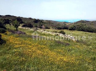 Vendita Terreno agricolo, in zona VIGNOLA MARE, AGLIENTU