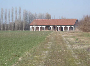 Vendita Terreno Agricolo Mogliano Veneto