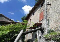 Rustico casale abitabile in zona Fornovolasco a Fabbriche di Vergemoli
