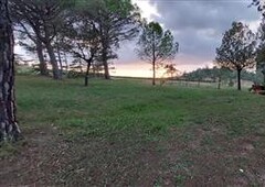 Colonica/casale in buono stato di 300 mq. a Martignana