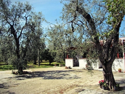 Casa a Vieste con giardino e terrazza