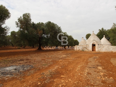 Trullo in vendita a Francavilla Fontana