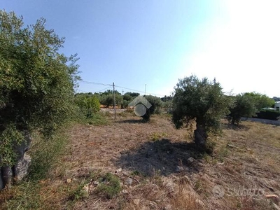 TER. AGRICOLO A POLIGNANO A MARE